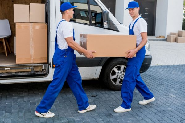 Professional Moving Experts