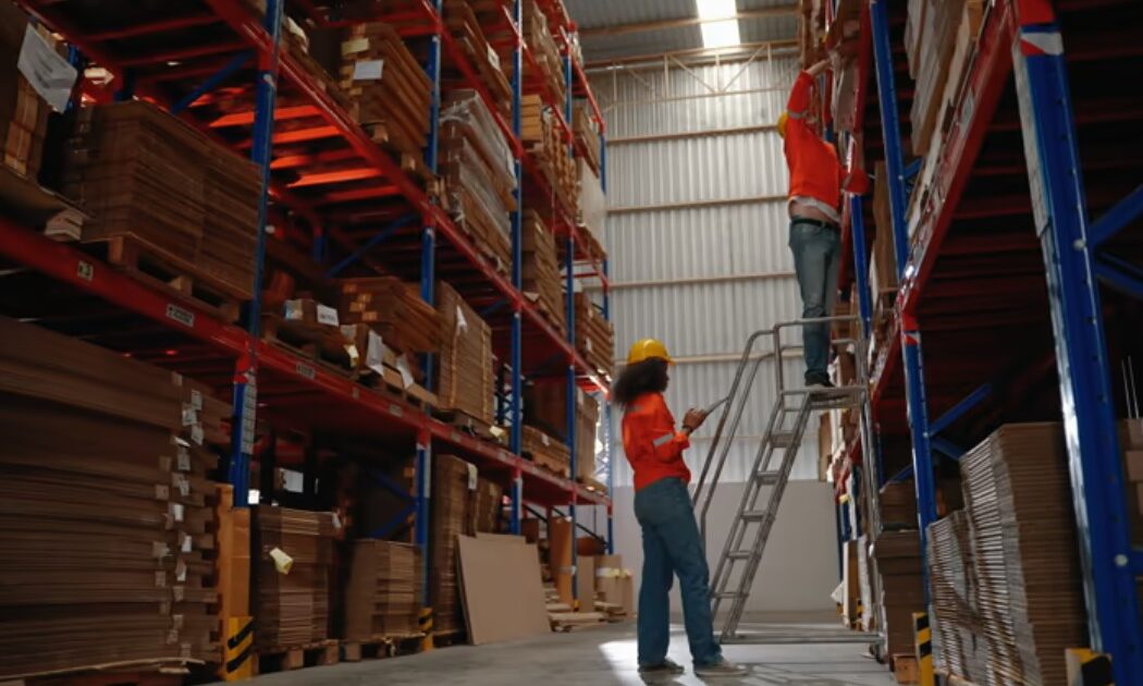 Warehouse worker inspecting organized storage shelves